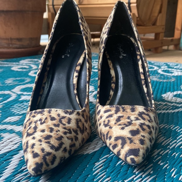 Animal print stilettos - Picture 4 of 7